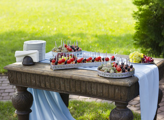 Lunch outdoors. Festive buffet. Wedding. Snacks