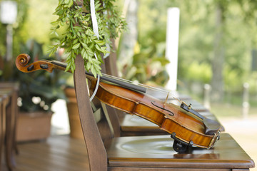 Violin. Violin outdoors. Live music. Wedding.Musician for the wedding.Violin under the open sky