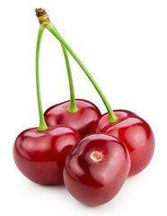 cherry isolated on white