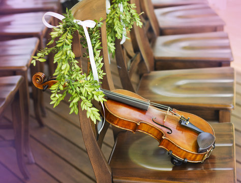 Violin. Violin outdoors. Live music. Wedding.Musician for the wedding.Violin under the open sky