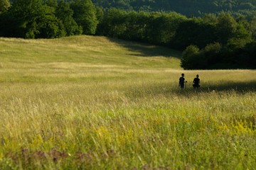Fototapeta na wymiar Loving couple romantic walk in the summer meadow in the countryside.
