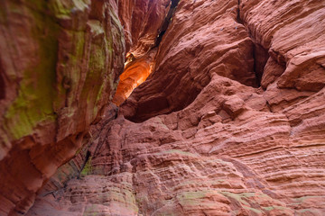red glowing stones - Felsenglühen Altschlossfelsen Pfalz