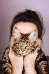 Woman holding a grey tabby Maine Coon kitten
