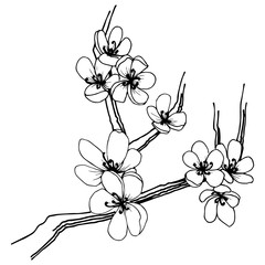 Sakura in a vector style isolated. Full name of the plant: sakura. Vector flower for background, texture, wrapper pattern, frame or border.