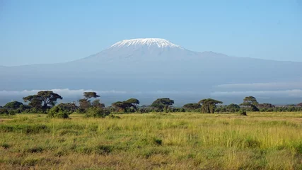 Papier Peint photo Kilimandjaro kilimanjaro and kenyan landscape