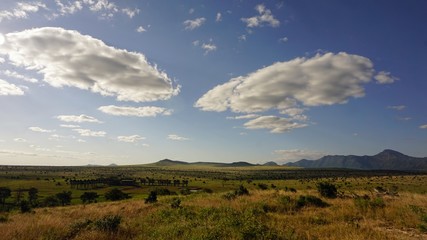 Fototapeta premium natural green landscape in kenya