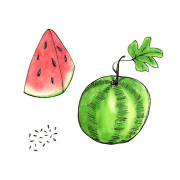 Watercolor watermelon illustration, isolated summer food organic fruit set