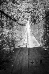 Fototapeta premium Forest Footbridge Guatemala Black and White
