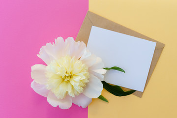 White peony flower on yellow and fuchsia colored background with text card and envelope, invitation card