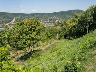 Budapest und die Donau