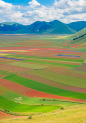 Fototapeta premium Castelluccio di Norcia, 2018 (Umbria, Italy) - The famous landscape flowering with many colors, in the highland of Sibillini Mountains, central Italy