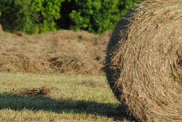 Hay casting shadows