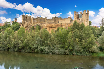 Castle of Valencia de Don Juan in Leon (Spain)