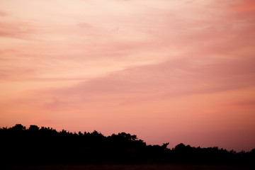 Obraz premium pink sunset sky