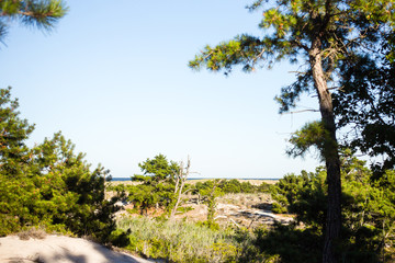 Atlantic Ocean landscape