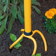 loosen the earth  with garden tool in the summer