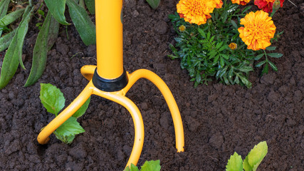 loosen the earth  with garden tool in the summer