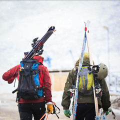 Back view of skiers carrying skis