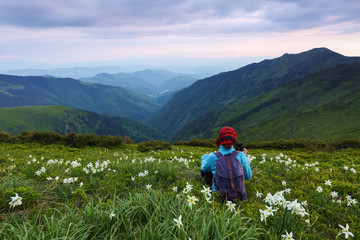 Naklejka na ściany i meble The tourist girl with back sack and tracking sticks sits on the lawn of daffodils. Relaxation. Mountain landscapes. Wonderful summer day. Location the Carpathian Mountains, Marmarosy, Ukraine.