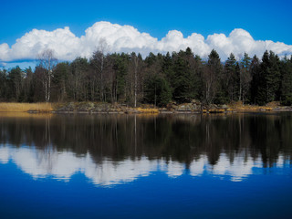 Beautiful cloudscape over forest at waterfront