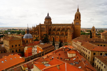 Fototapeta premium Salamanca, Spain
