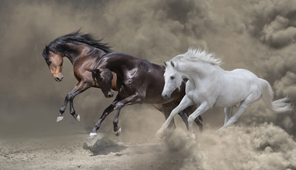 Fototapety  Zatoka, czarno-białe konie biegną w burzy piaskowej