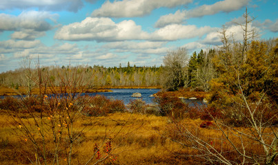 Autumn landscape with colourful forest around the lake and blue water in a sunny day of october