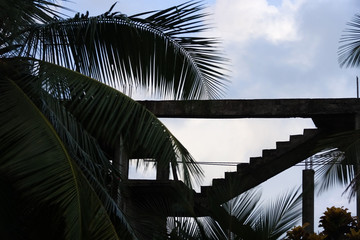 Silhouette of a staircase of unfinished building and palm leaves on a background of blue sky with clouds
