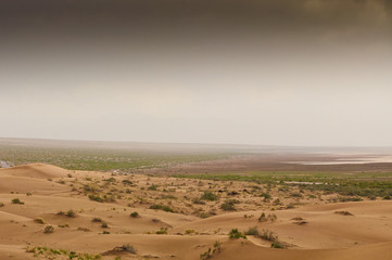 Maranjab Desert in Iran