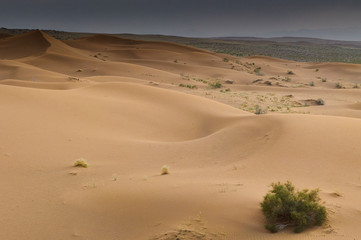 Fototapeta na wymiar Maranjab Desert in Iran