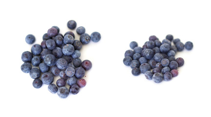 Collcection of Blueberries  on white