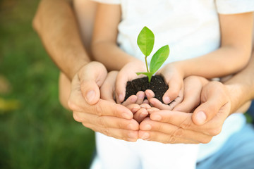 Family holding soil with green plant in hands on blurred background