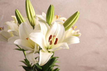 Beautiful blooming lily flowers on color background