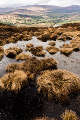 Wicklow Mountains National Park