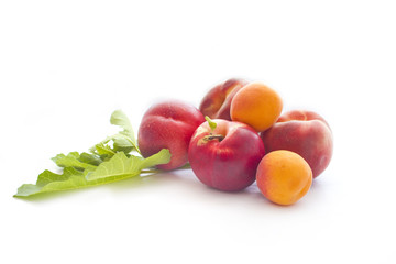 Ripe peaches  and apricots on white background
