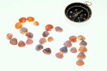 The word SEA from shells and a compass pointing to the south. Theme of rest, vacation and travel.