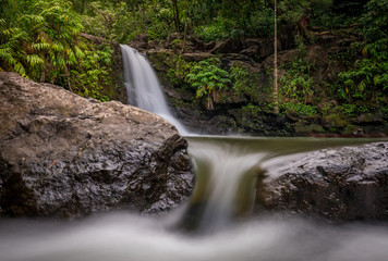 Tropical jungle waterfall on Maui