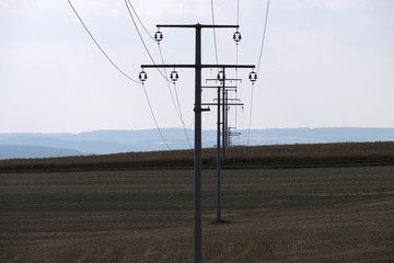 Abgeerntetes Getreidefeld mit Stromleitung - Stockfoto