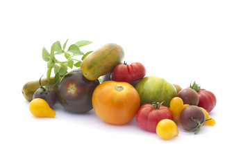 Colored tomatoes and basil isolated on white