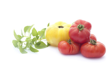 Red and yellow tomatoes ans basil isolated on white