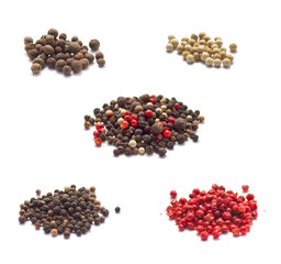 Collection of spices isolated on white