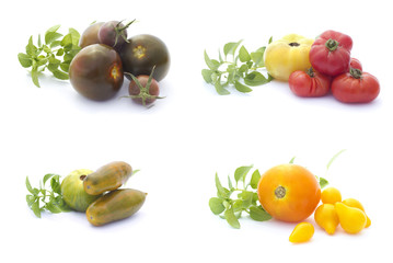 Collection of tomatoes isolated on white