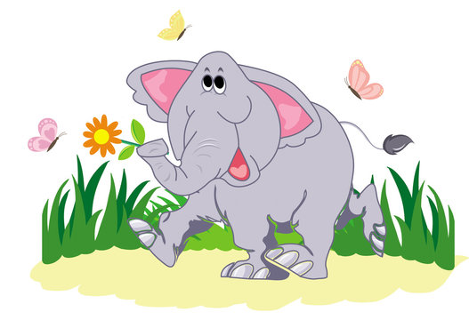 Funny cartoon elephant with butterfly on a white background