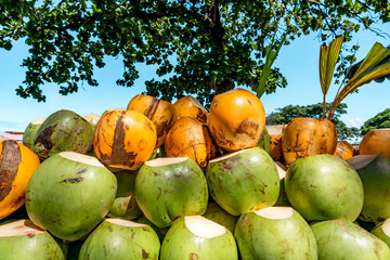 Green and Yellow King Coconut Background