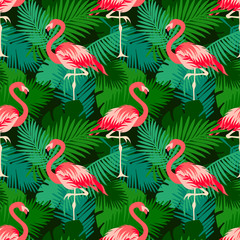 jungle flamingo