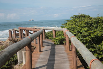 Obraz premium campeche