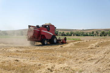 The harvester is harvesting the wheat field.