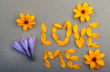 petals flower yellow love text blue buds