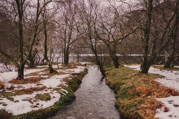 Wicklow irlanda