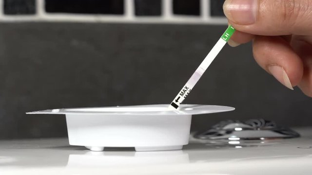 hand hold quick check LH (luteinizing hormone) testing for ovulation test